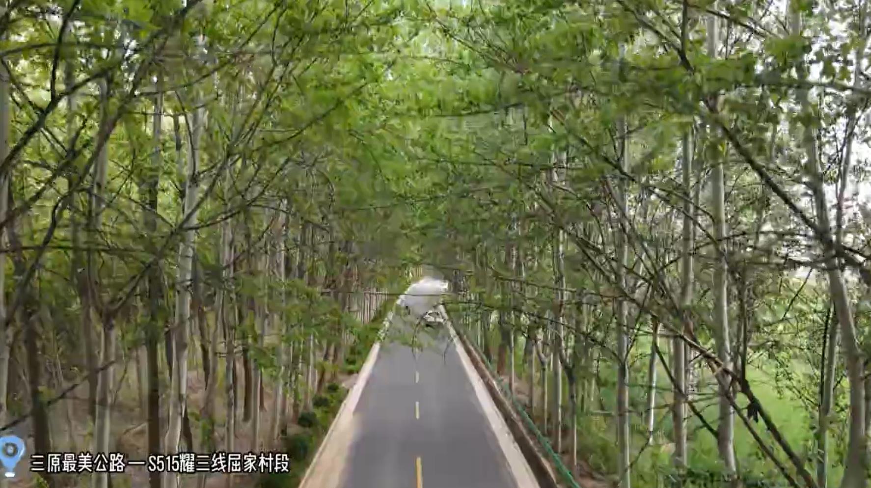 【視頻】三原這條公路帶你感受“最美的風景在路上” 