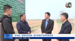 【视频新闻】淳化县：聚焦科技创新  助力荞麦产业高质量发展