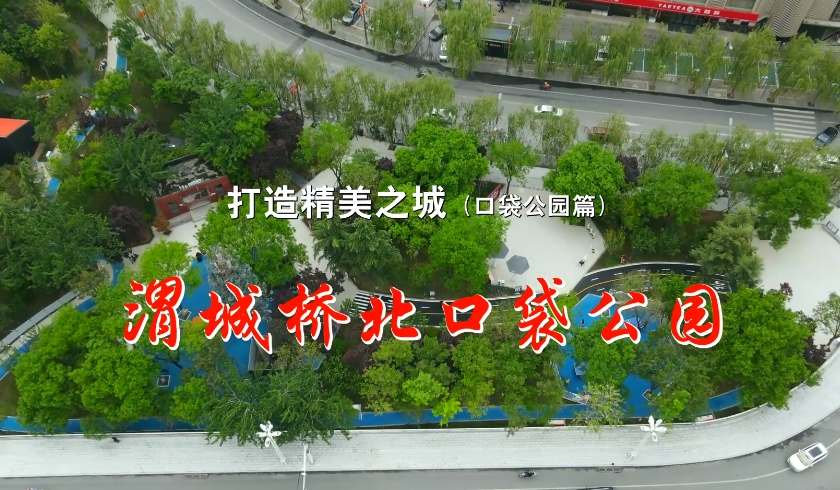 【视频】打造精美之城丨渭城桥北口袋公园