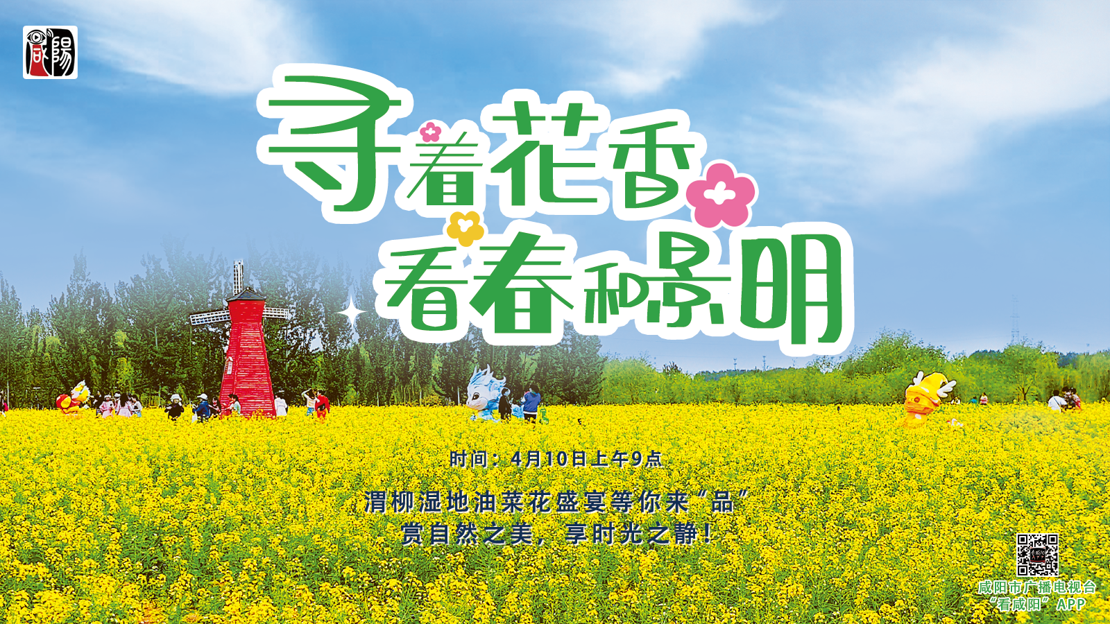 【直播回看】一起來(lái)看油菜花海吧！咸陽(yáng)春日的浪漫都在這里！