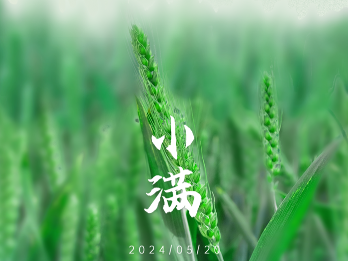 海报 | 今日小满