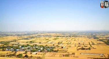 咸阳：奋战“三夏”保丰收