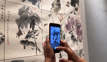 【视频】视觉盛宴！咸阳书画亮相衡阳