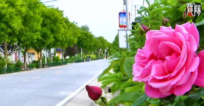 【視頻】彬州市北極鎮(zhèn)：打造生態(tài)宜居環(huán)境 繪就美麗鄉(xiāng)村新畫卷