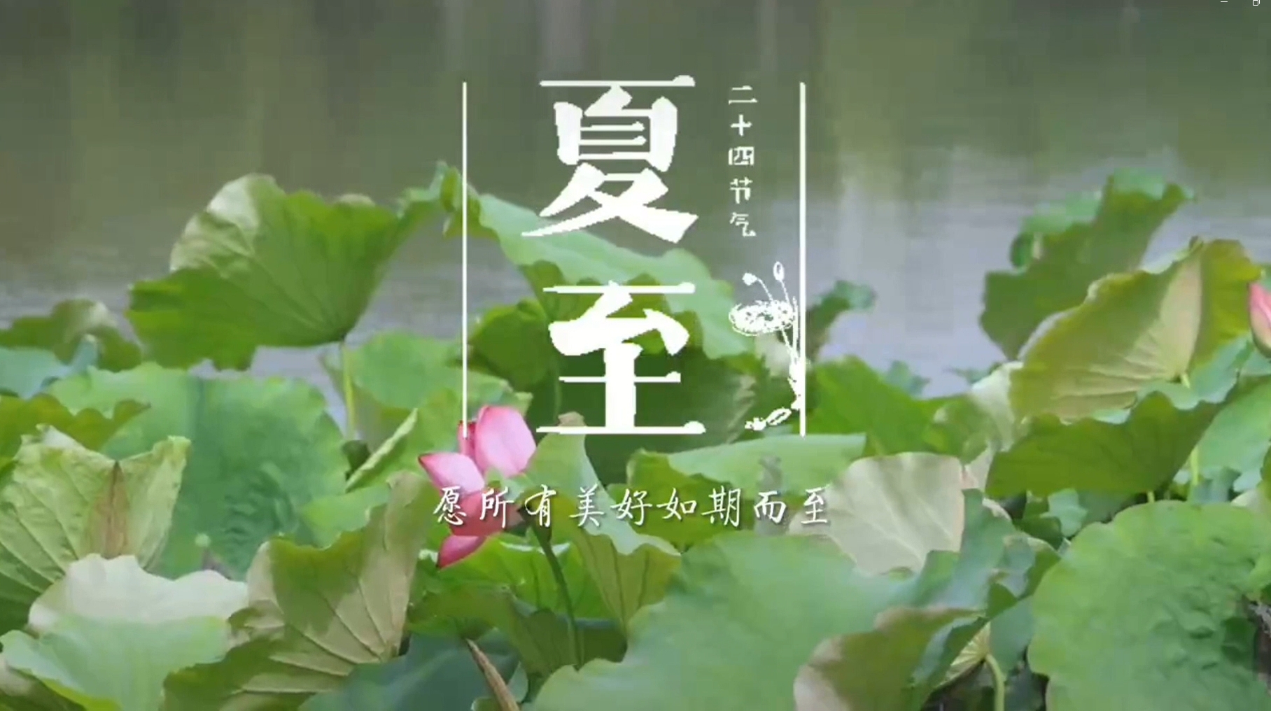 【视频】今日夏至|愿所有美好如期而至
