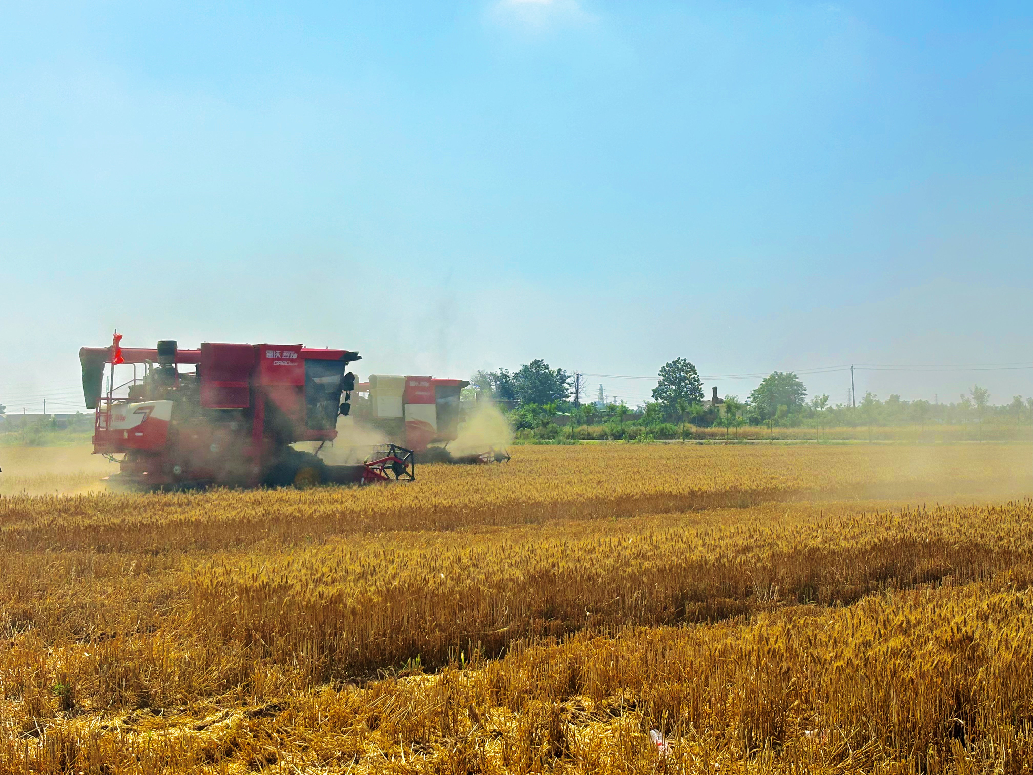 【视频】秦都区召开“三夏”现场会