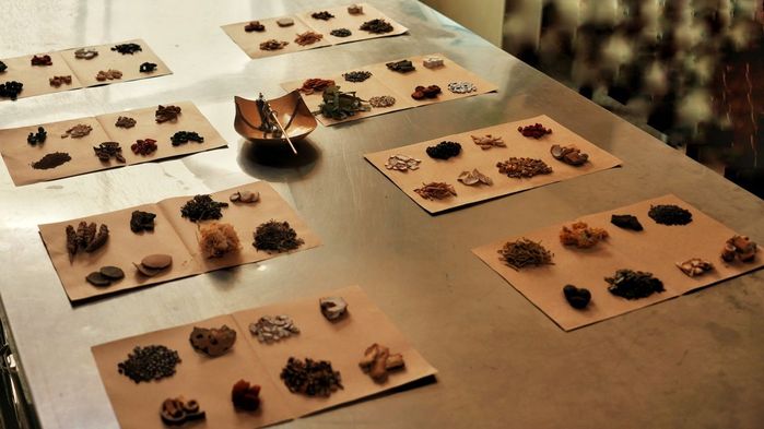 降暑、祛湿减重、降糖降脂8个中药饮品配方，总有一款适合您！