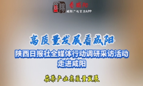 【视频】高质量发展看咸阳——茯茶产业高质量发展