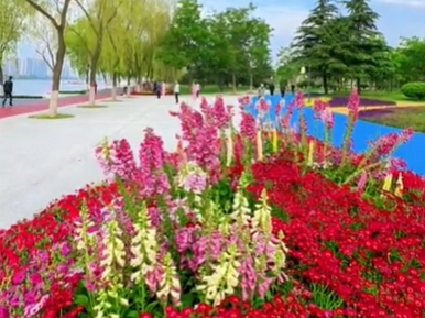 【视频】繁花绚烂 绿草葱茏！咸阳的夏天，你确定不来看看？