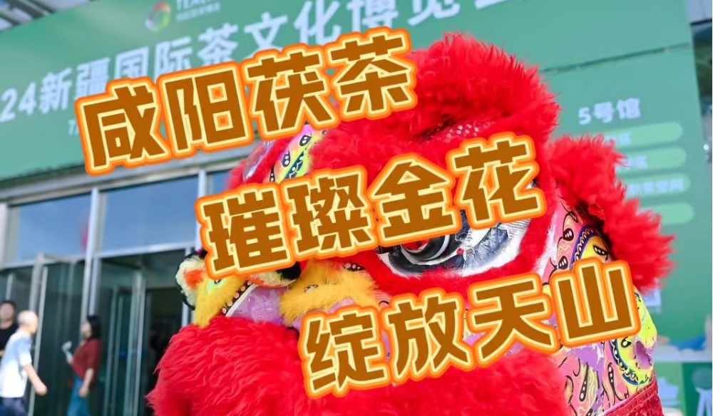 【视频】咸阳茯茶 璀璨金花 绽放天山！2024新疆国际茶文化博览会咸阳获茶暨名优农产品新疆行