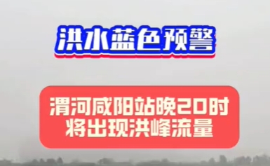 【视频】洪峰过境 远离河道！渭河咸阳站今晚20时将出现洪峰流量！