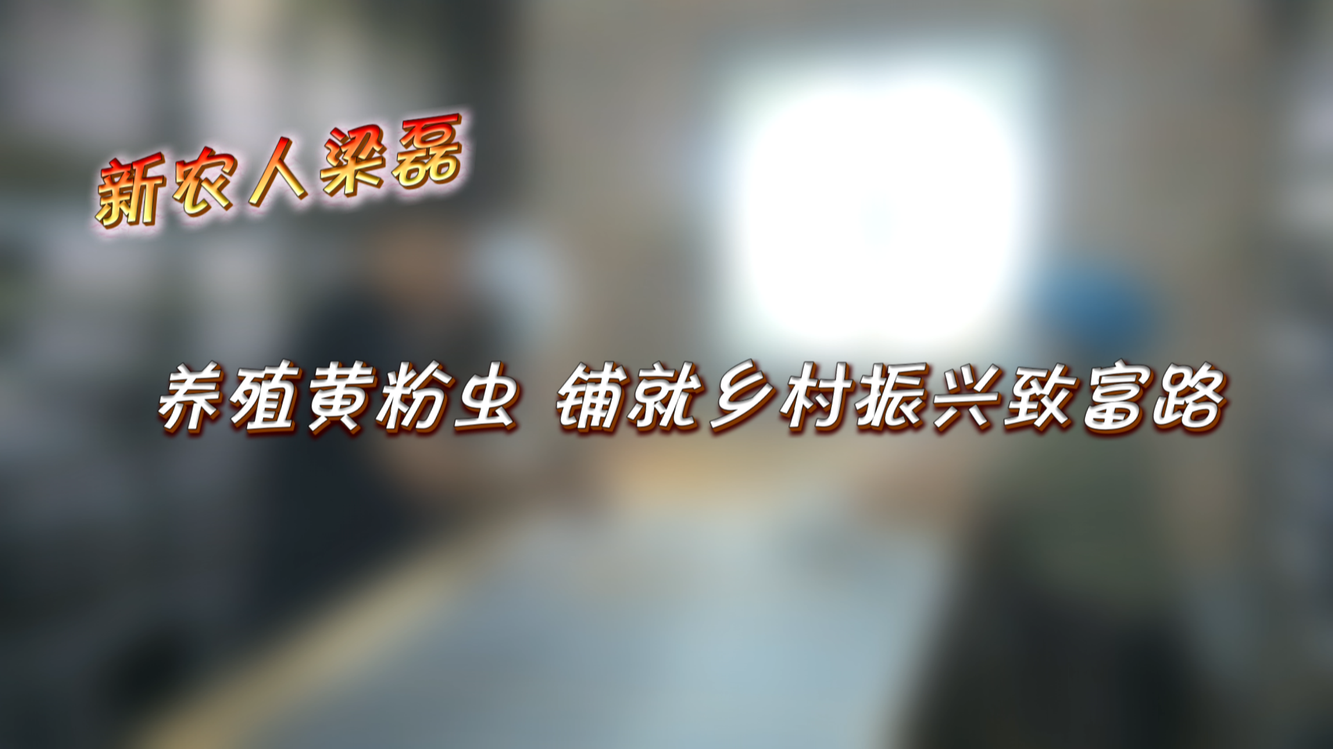 新農(nóng)人梁磊：養(yǎng)殖黃粉蟲 鋪就鄉(xiāng)村振興致富路