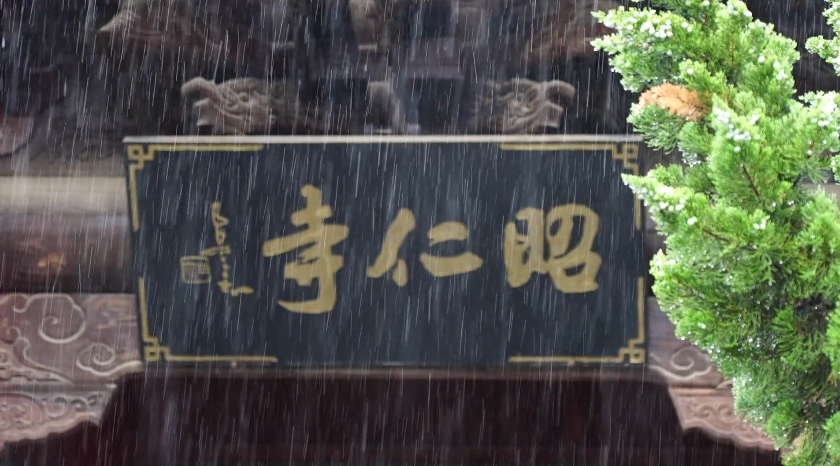 【视频】长武：雨落昭仁寺，沉醉惬意间