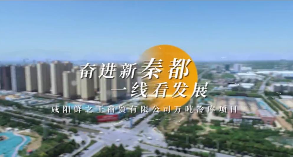 【视频】秦都区：咸阳鲜之王商贸有限公司万吨冷库项目