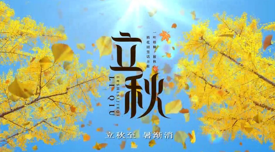 【视频】立秋至 暑渐消