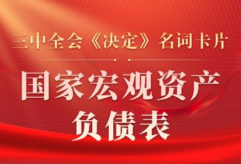 三中全会《决定》名词卡片天天学：国家宏观资产负债表