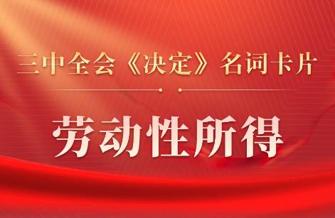 三中全会《决定》名词卡片天天学：劳动性所得