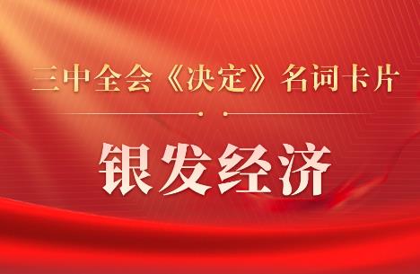 三中全会《决定》名词卡片天天学：银发经济