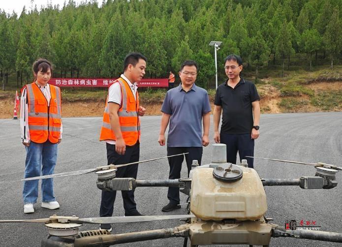 礼泉县：防治森林病虫害 维护生态安全