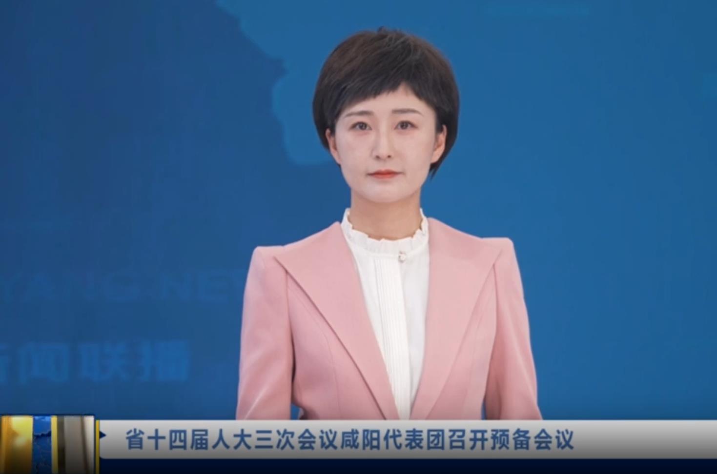【视频新闻】省十四届人大三次会议咸阳代表团召开预备会议
