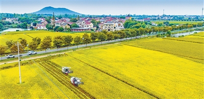 全国秋粮收获过五成