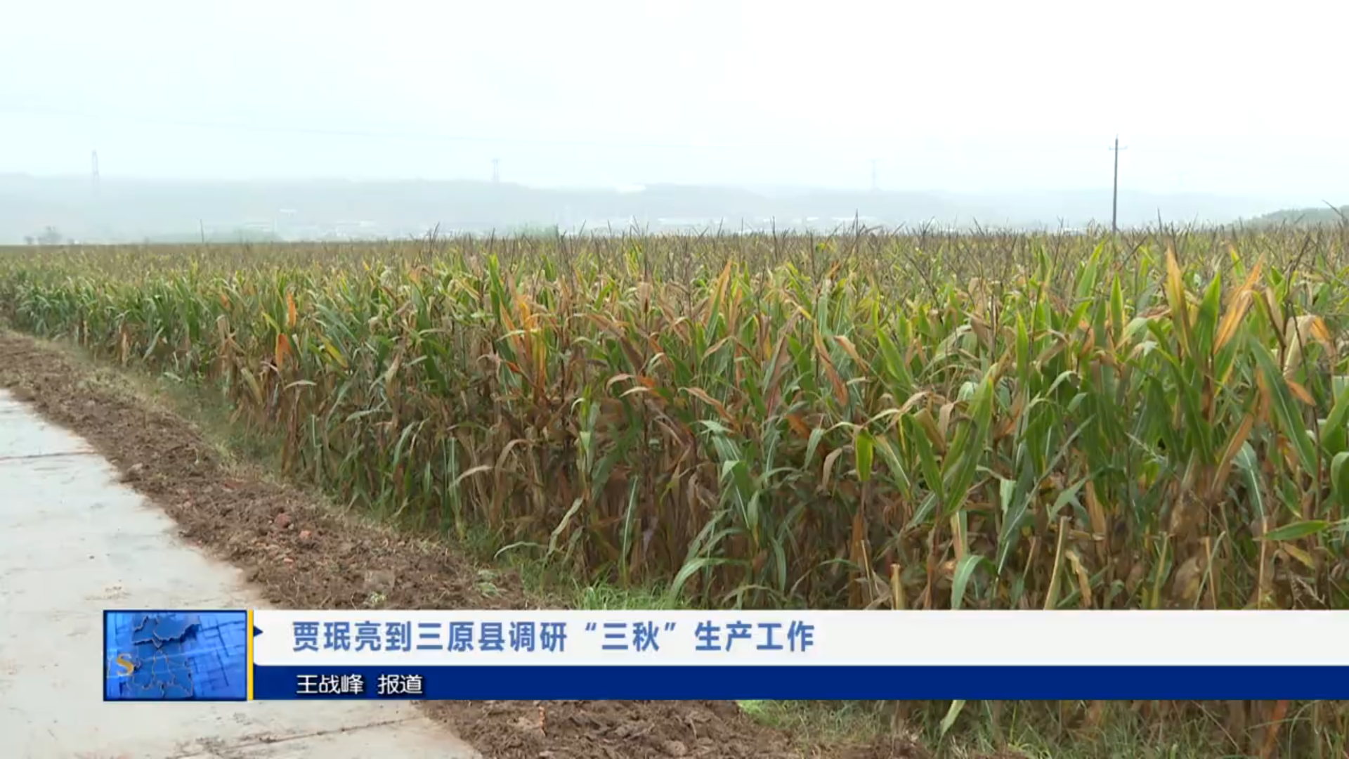 【视频新闻】贾珉亮到三原县调研“三秋”生产工作