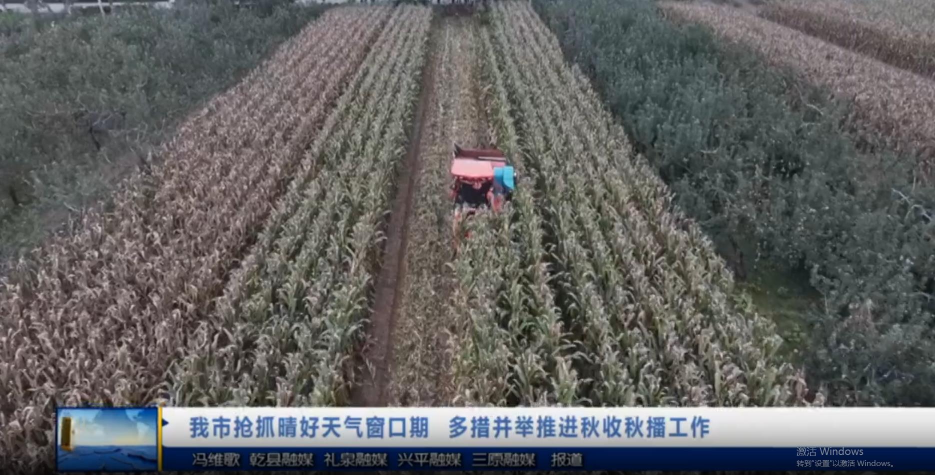 【视频新闻】我市抢抓晴好天气窗口期  多措并举推进秋收秋播工作