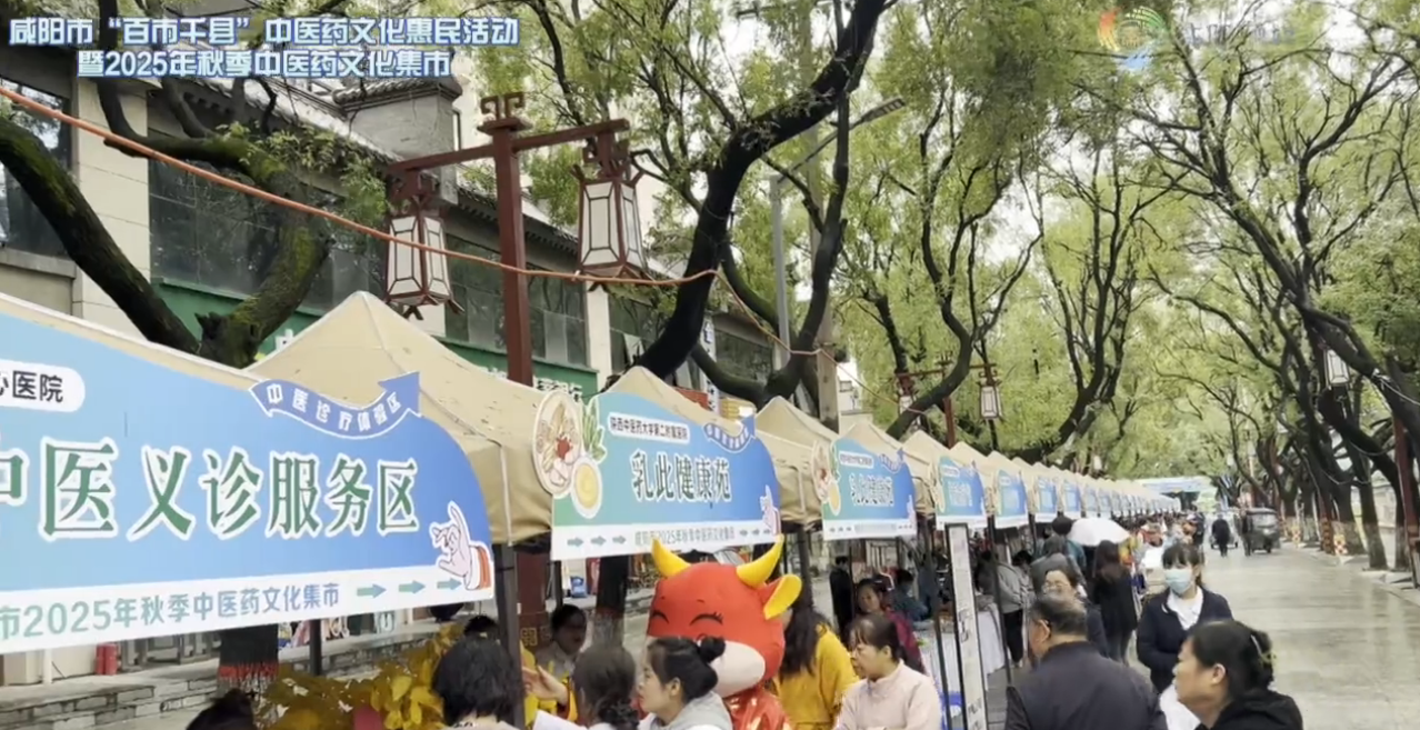 【视频】来老街 享健康丨咸阳市“百市千县”中医药文化惠民活动暨2025年秋季中医药文化集市活动开始啦！