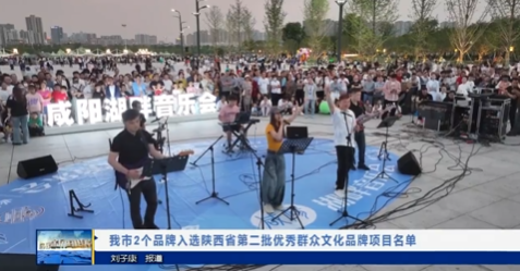 【视频新闻】我市2个品牌入选陕西省第二批优秀群众文化品牌项目...