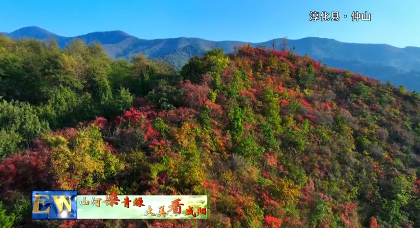 【视频新闻】霜华尽染  秋意正浓
