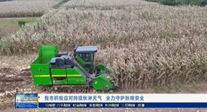 【视频新闻】我市积极应对持续秋淋天气  全力守护秋粮安全