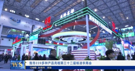 【视频新闻】我市220多种产品亮相第三十二届杨凌农高会