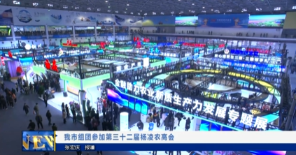 【视频新闻】我市组团参加第三十二届杨凌农高会