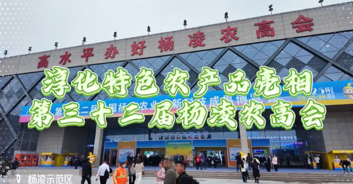 【视频】淳化县特色农产品亮相第三十二届杨凌农高会