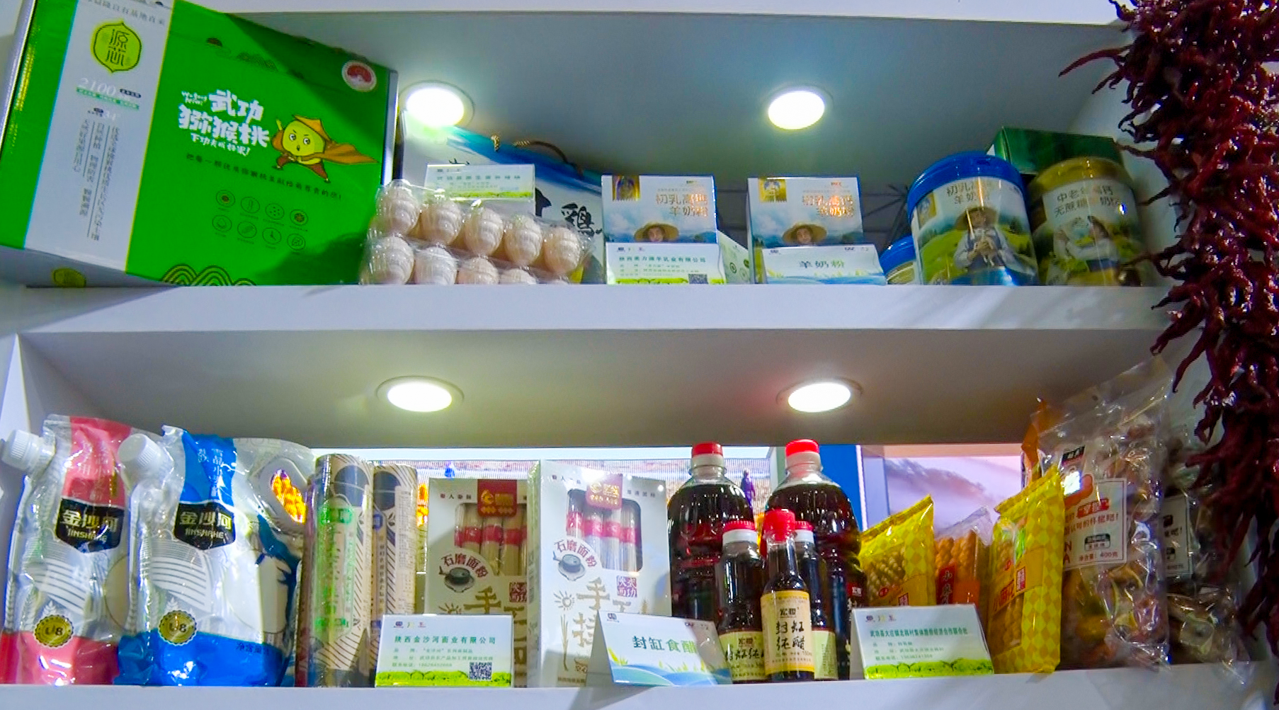 第32届中国杨凌农业高新科技成果博览会开幕 武功县展区亮点纷呈 展品备受关注