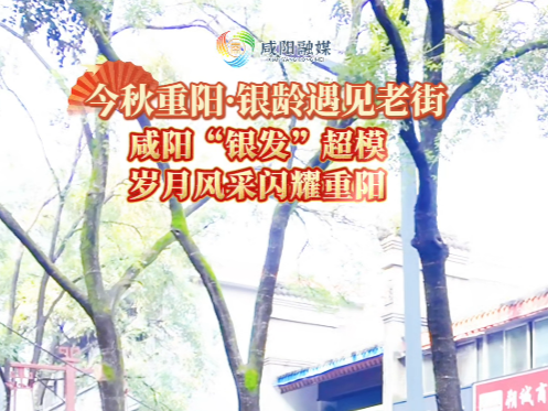 【视频】今秋重阳·银龄遇见老街｜咸阳“银发”超模 岁月风采闪耀重阳