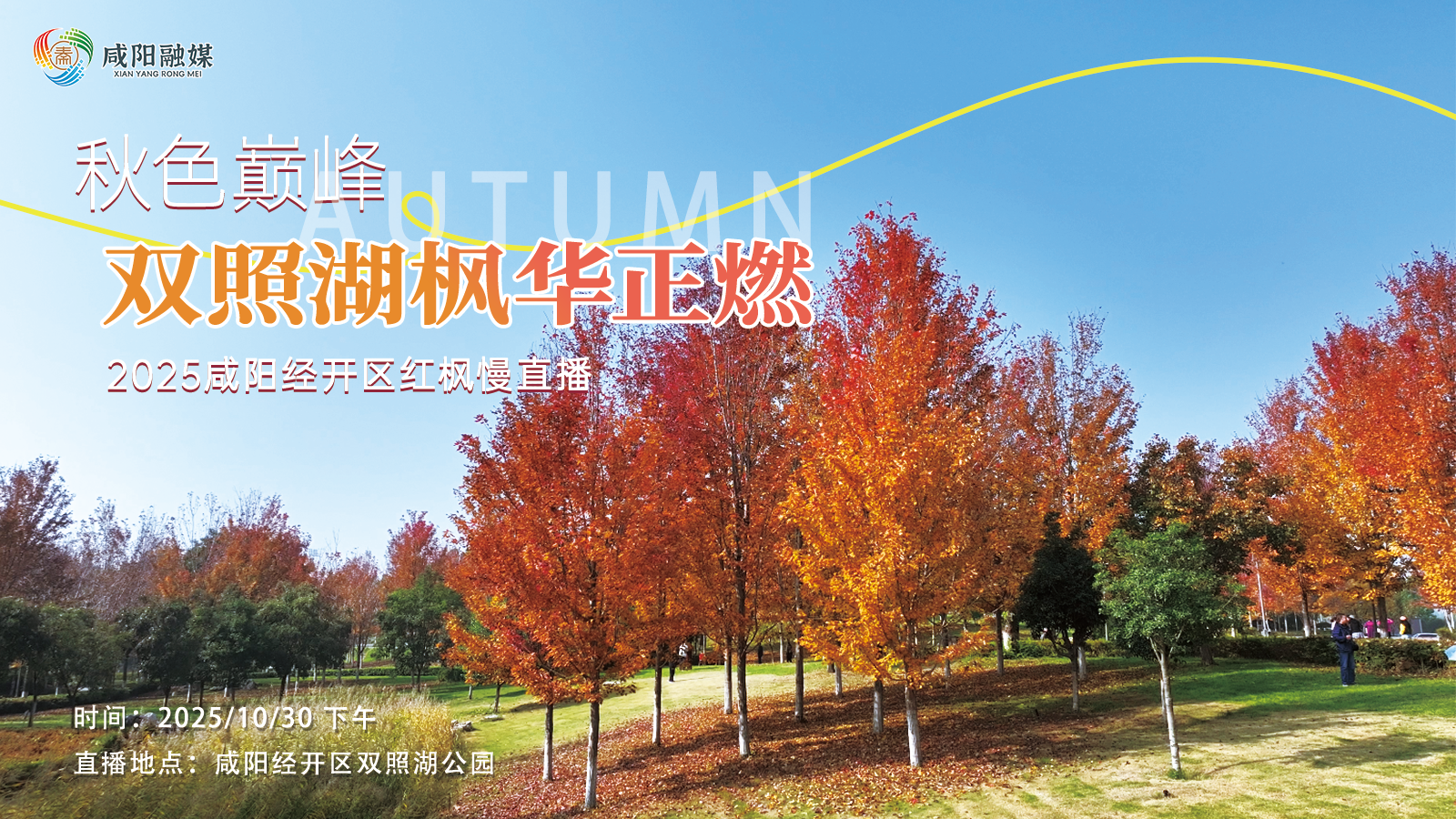 【慢直播回看】2025咸阳经开区红枫 | 秋色巅峰·双照湖枫华正燃