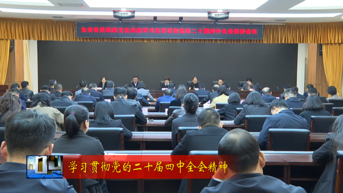【视频新闻】全市宣传思想文化系统学习宣传贯彻党的二十届四中全...