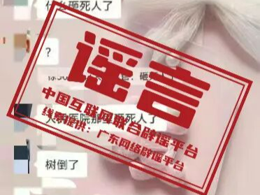 “广东湛江受台风‘麦德姆’影响全市停水”系谣言——今日辟谣（2025年10月9日）
