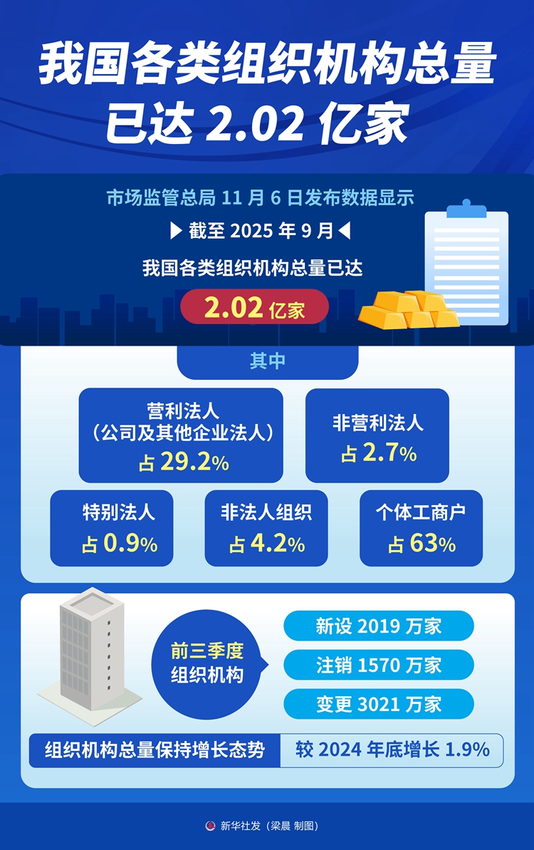 我国各类组织机构总量已达2.02亿家