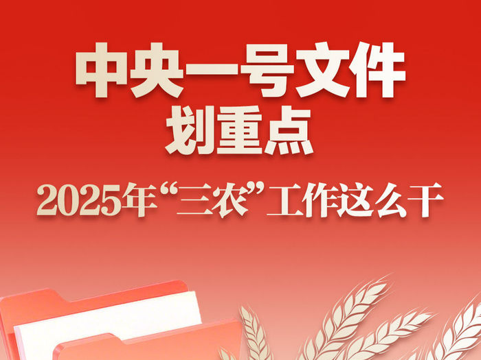 中央一号文件划重点，2025年“三农”工作这么干
