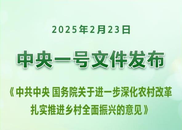 首提发展农业新质生产力，中央一号文件这样点题