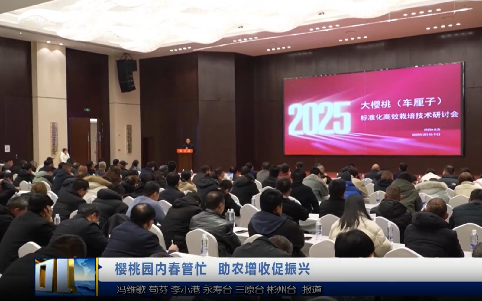 【视频新闻】樱桃园内春管忙 助农增收促振兴