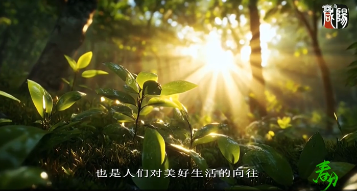 【视频】节气有约 | 中国传统文化二十四节气——春分