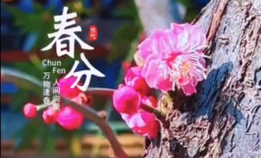 【視頻】春分丨人間向暖，萬物逢春