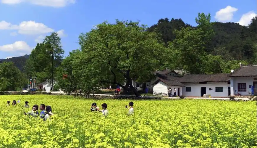 陕西发布26条春季乡村休闲旅游行精品线路