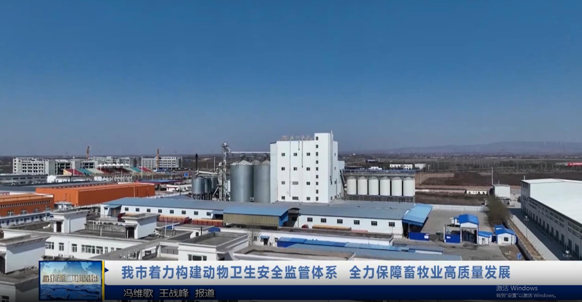 【视频新闻】我市着力构建动物卫生安全监管体系  全力保障畜牧业高质量发展