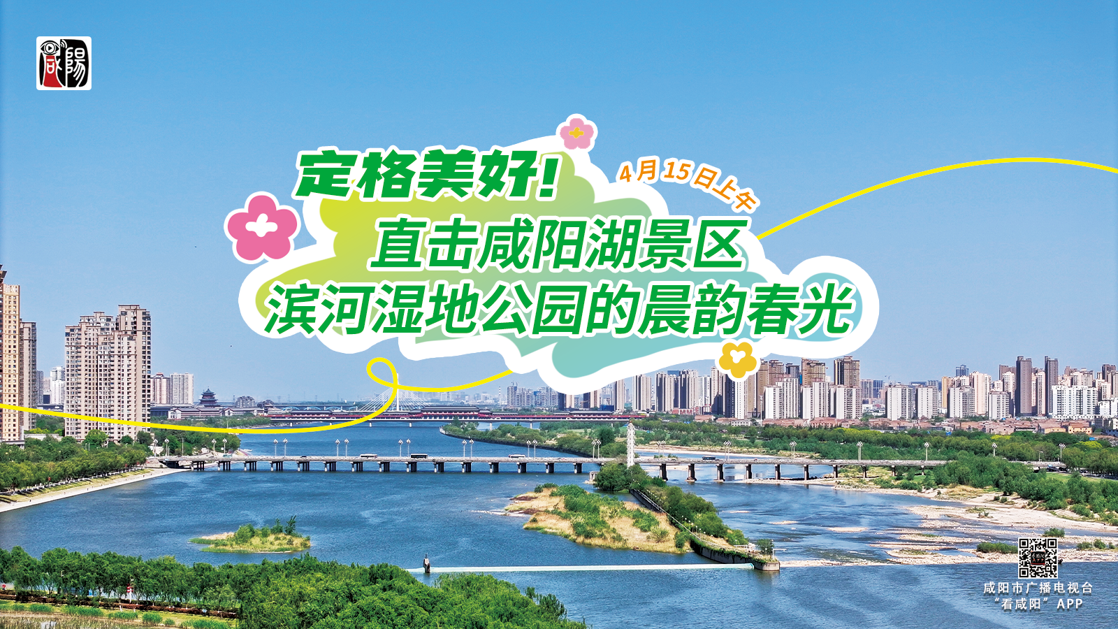 【直播回看】定格美好！4 月 15 日直击咸阳湖景区滨河湿地公园的晨韵春光
