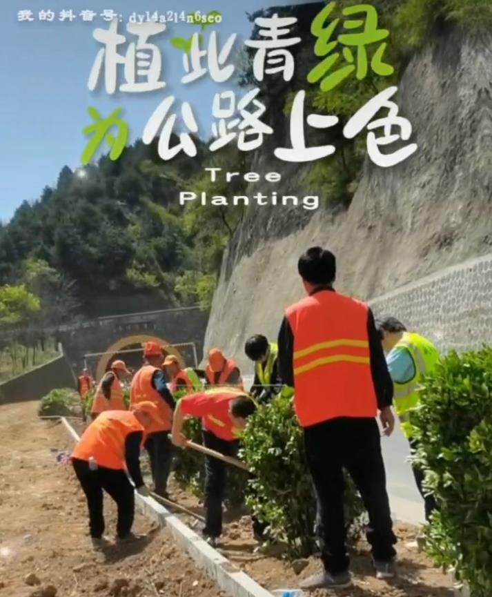 【视频】咸阳市公路局：植此青绿 为公路上色