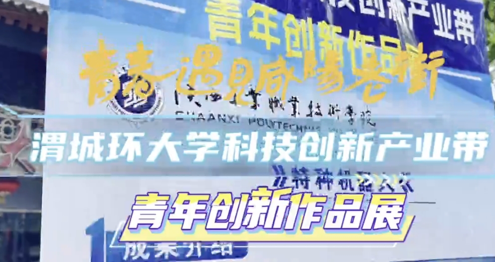 【视频】渭城环大学科技创新产业带——青年创新作品展